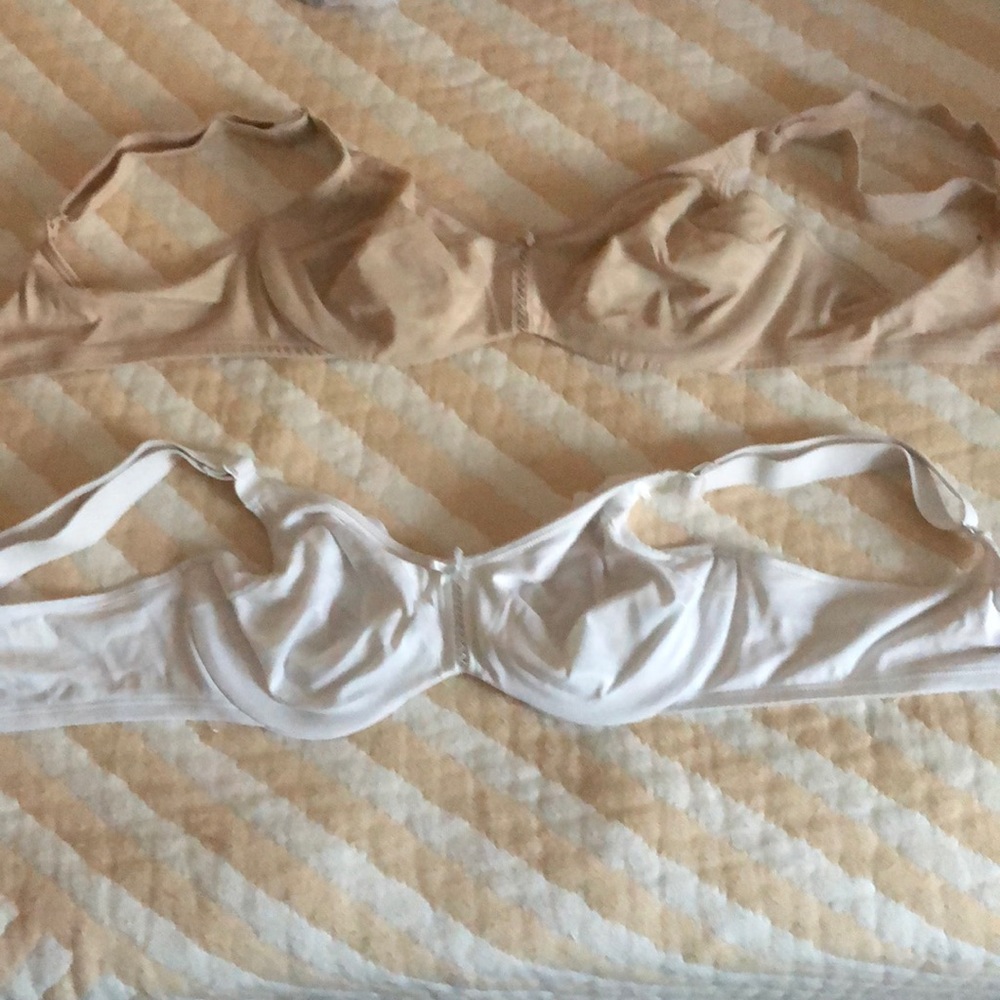 34 C Bali 2 Bras Set
